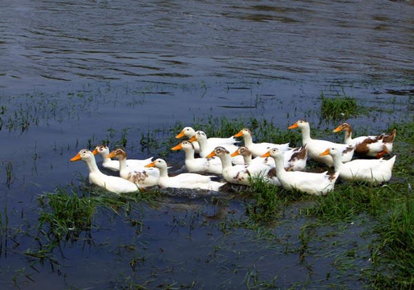 5cdb754729999.jpg 5cdb754729999.jpg