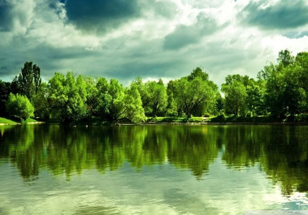 5ce271385467b.jpg 5ce271385467b.jpg