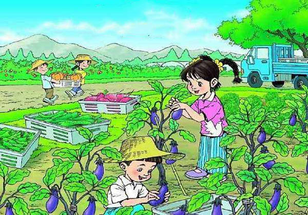 5ce274fb044be.jpg 5ce274fb044be.jpg