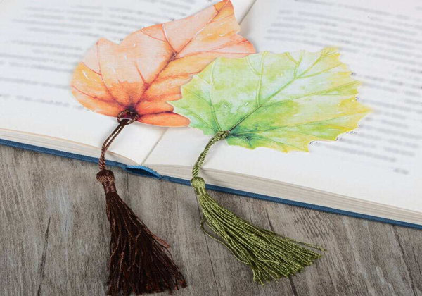 5ce3603feefef.jpg 5ce3603feefef.jpg