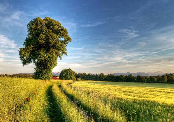 5cec9fa31f454.jpg 5cec9fa31f454.jpg