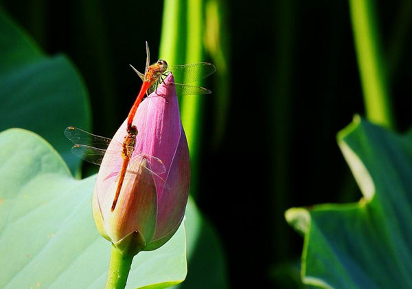 5ceca0df883ec.jpg 5ceca0df883ec.jpg