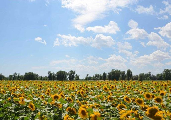 5cecf55609729.jpg 5cecf55609729.jpg