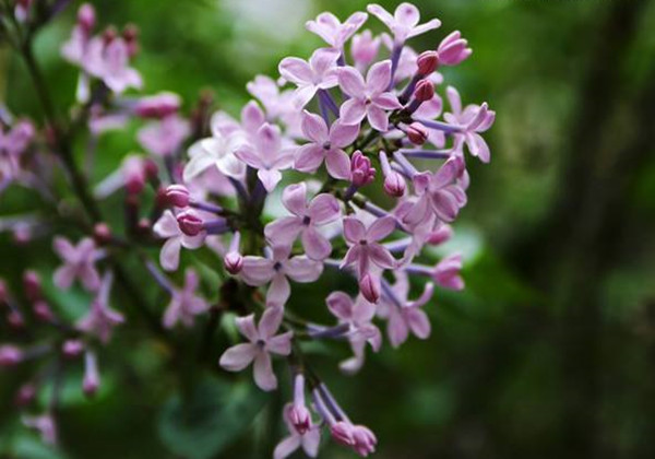 5ced09d0a6f81.jpg 5ced09d0a6f81.jpg