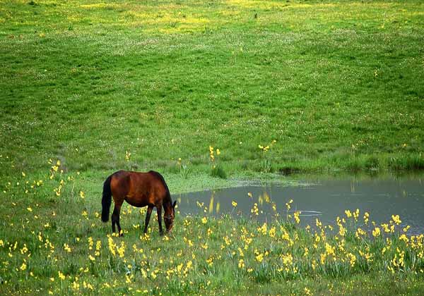 5cf4e0a3062d8.jpg 5cf4e0a3062d8.jpg