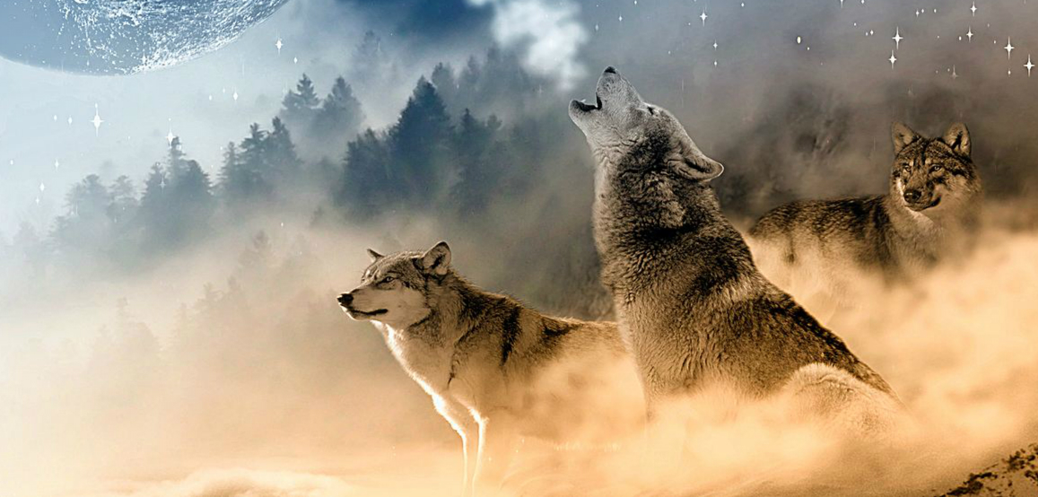 5d00b6493167c.jpg 5d00b6493167c.jpg