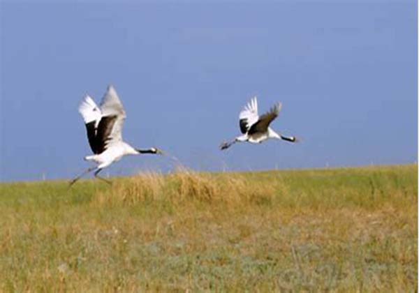 5d08b52fb14e4.jpg 5d08b52fb14e4.jpg