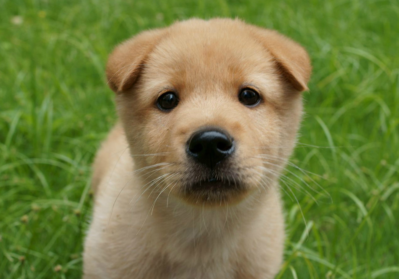 5d12d309ca011.jpg 5d12d309ca011.jpg