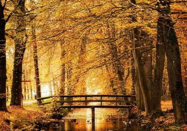 5d43ea1cd28a8.jpg 5d43ea1cd28a8.jpg