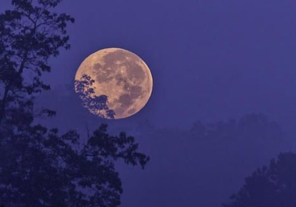 5d72137080784.jpg 5d72137080784.jpg