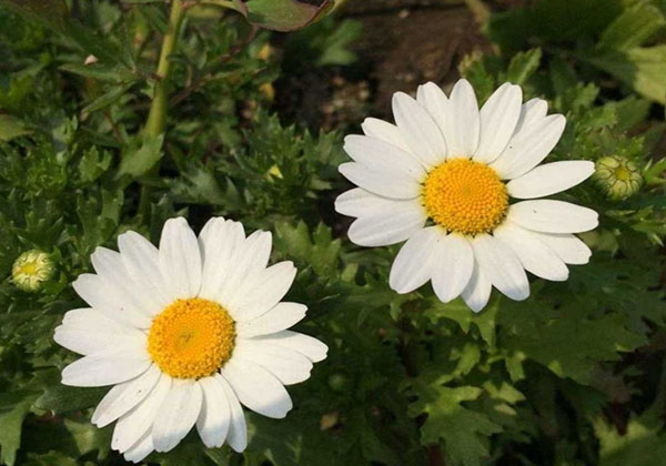 5d7214f87fdb7.jpg 5d7214f87fdb7.jpg