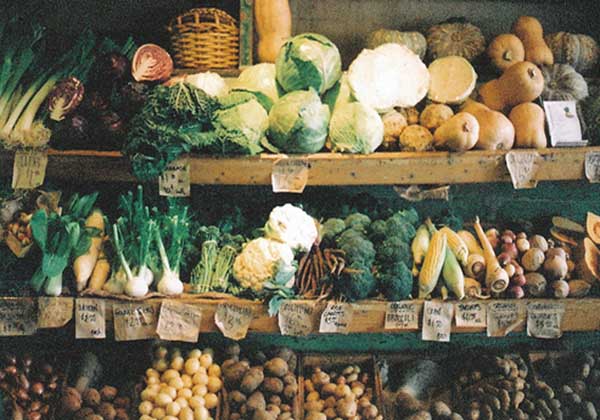 5d78a0df86521.jpg 5d78a0df86521.jpg