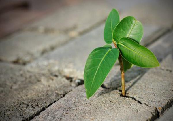 5d918e4c92419.jpg 5d918e4c92419.jpg