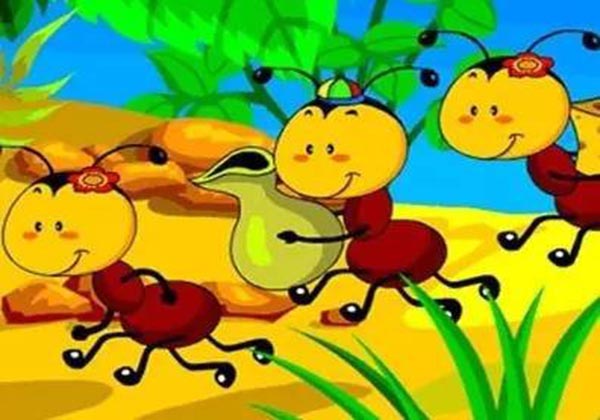 5d91a73160189.jpg 5d91a73160189.jpg