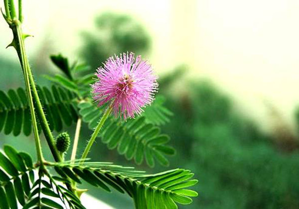 5daec21446d7b.jpg 5daec21446d7b.jpg