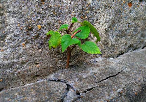 5daec2388da38.jpg 5daec2388da38.jpg