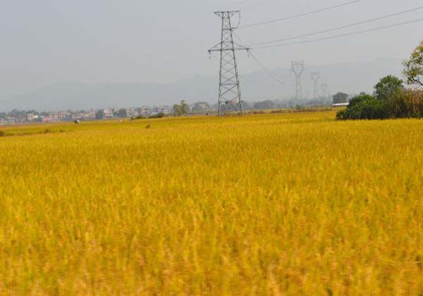 5dd2574e50564.jpg 5dd2574e50564.jpg