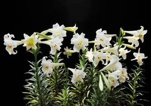 5df9d335b4695.jpg 5df9d335b4695.jpg