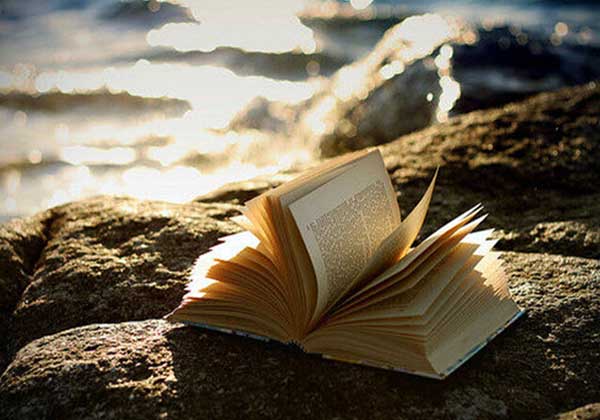 5e02bacc087e9.jpg 5e02bacc087e9.jpg