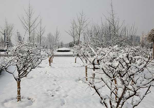 5e03301ea6ed8.jpg 5e03301ea6ed8.jpg