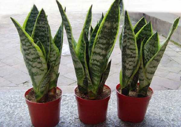 5e0b0427c3509.jpg 5e0b0427c3509.jpg