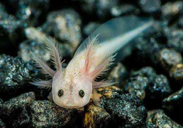 5e0c856c03738.jpg 5e0c856c03738.jpg