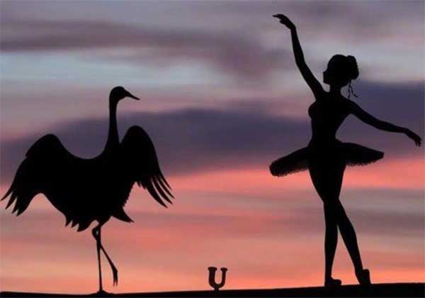 5e0c892643b68.jpg 5e0c892643b68.jpg