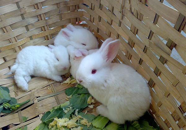 5e15c5a554f12.jpg 5e15c5a554f12.jpg