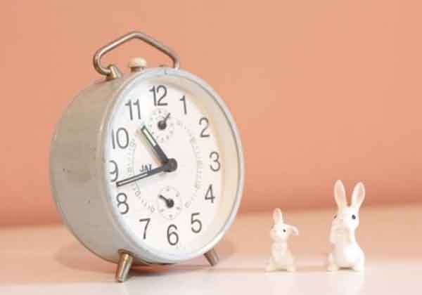 5e29836f7a1c0.jpg 5e29836f7a1c0.jpg