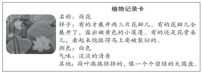 5e3b70f9b9cec.png 5e3b70f9b9cec.png