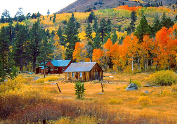 5e56573ca92b5.jpg 5e56573ca92b5.jpg