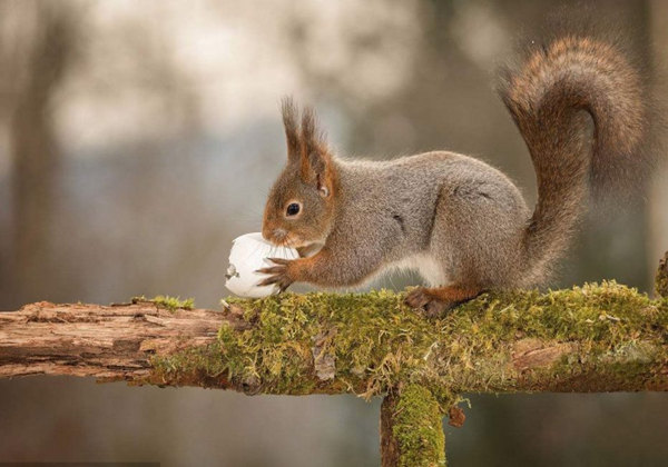 5e68d600f0916.jpg 5e68d600f0916.jpg