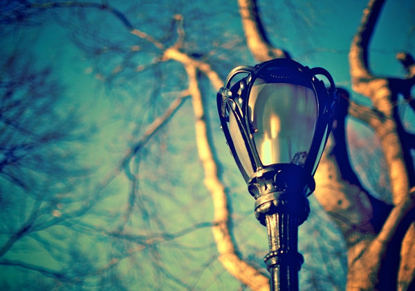 5e7bfd9fb291b.jpg 5e7bfd9fb291b.jpg