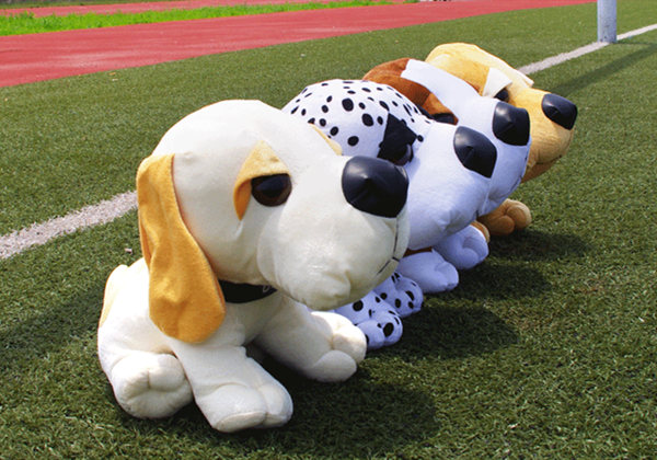 5f0db9367f807.jpg 5f0db9367f807.jpg