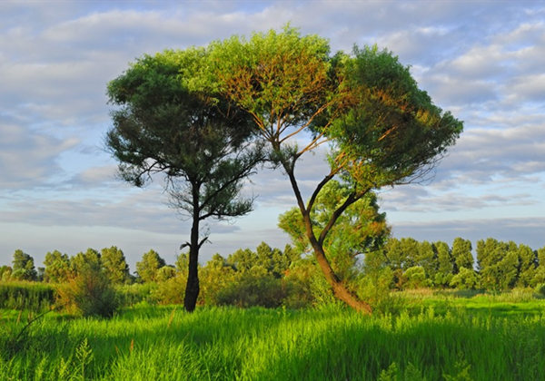 5f0f0633bb0ef.jpg 5f0f0633bb0ef.jpg