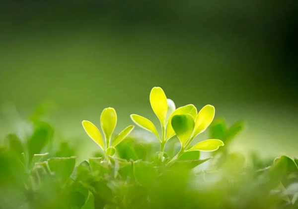 5f0f06c94d7dd.jpg 5f0f06c94d7dd.jpg