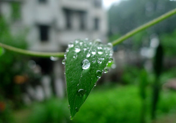 5f0f0a91c404d.jpg 5f0f0a91c404d.jpg