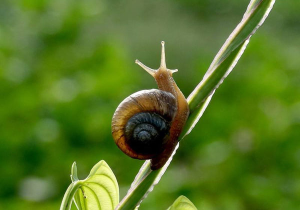 5f15ab8e8741a.jpg 5f15ab8e8741a.jpg