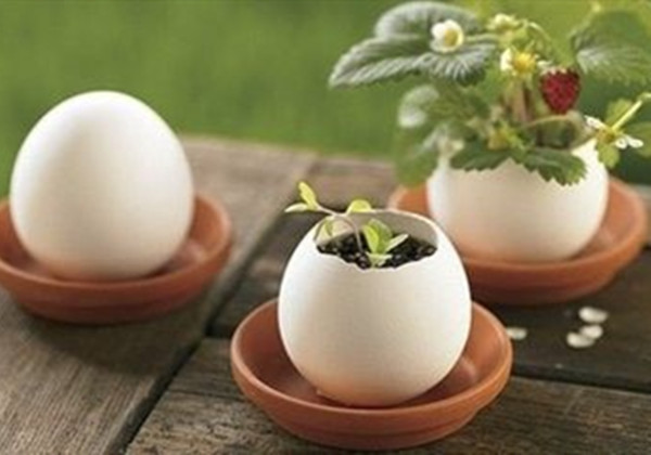 5f15abaccd61d.jpg 5f15abaccd61d.jpg