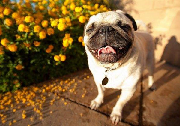 5f217120e241e.jpg 5f217120e241e.jpg