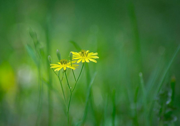 5f21821dded55.jpg 5f21821dded55.jpg