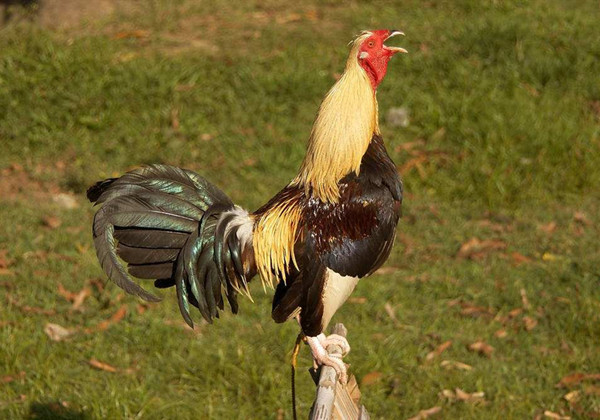 5f7c3fde41053.jpg 5f7c3fde41053.jpg