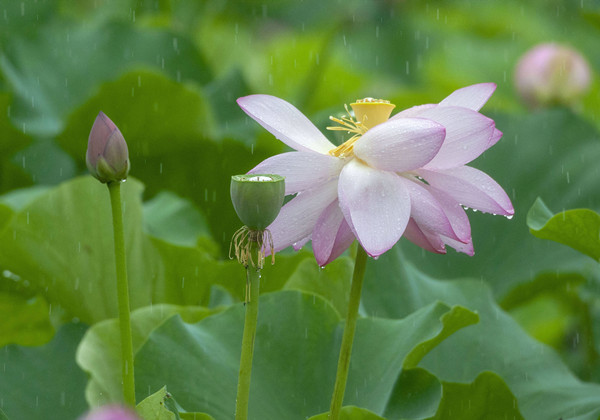 5fb3a4c6cf780.jpg 5fb3a4c6cf780.jpg