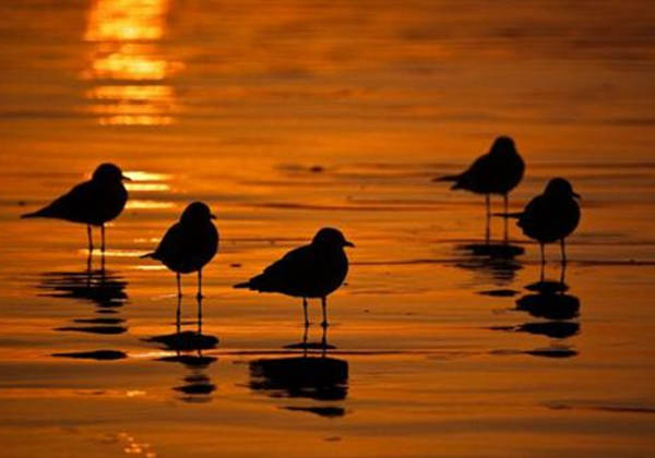 5ffefae105376.jpg 5ffefae105376.jpg