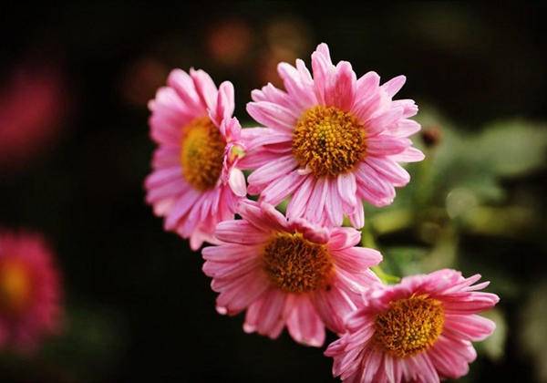 60294080912cb.jpg 60294080912cb.jpg