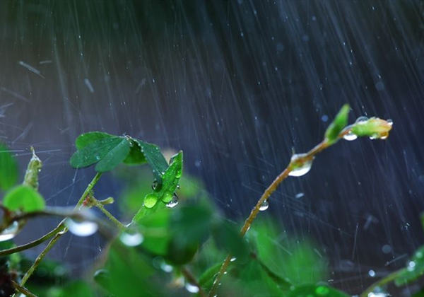 6058865396fa7.jpg 6058865396fa7.jpg