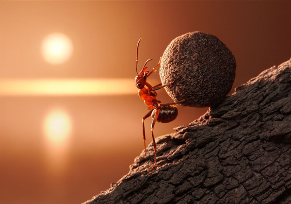 60687c55d9963.jpg 60687c55d9963.jpg