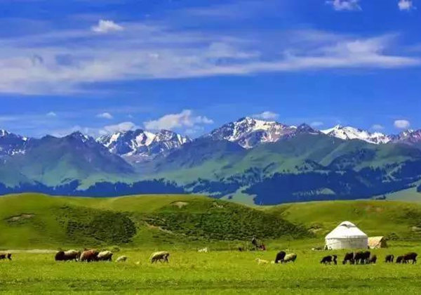 607c40ea35215.jpg 607c40ea35215.jpg