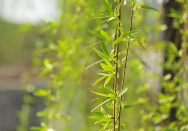 608256d51d27d.jpg 608256d51d27d.jpg