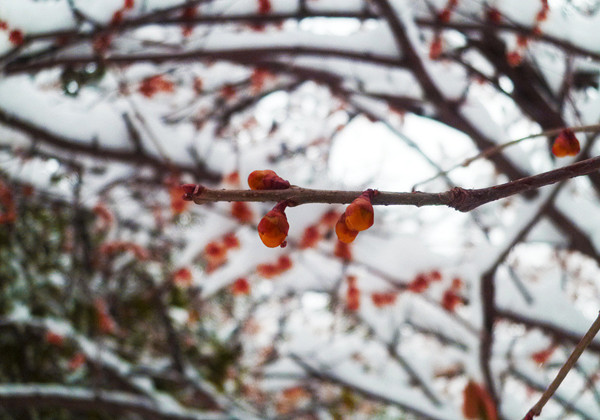 60c6da275d484.jpg 60c6da275d484.jpg